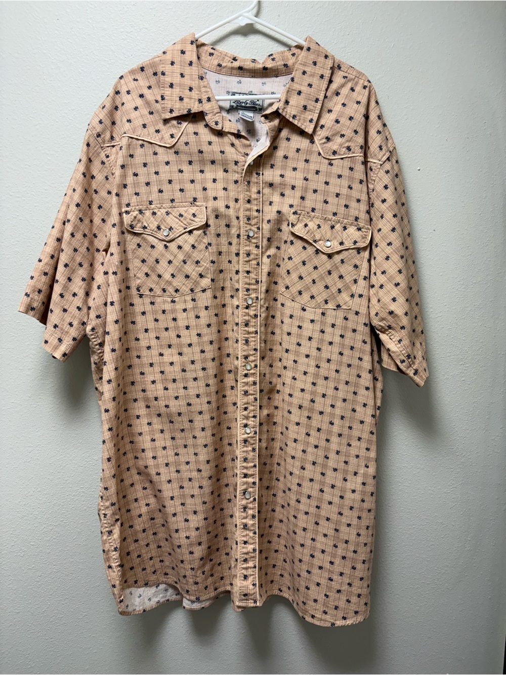 Relaxed Peach Short-Sleeve Button-Down Shirt
